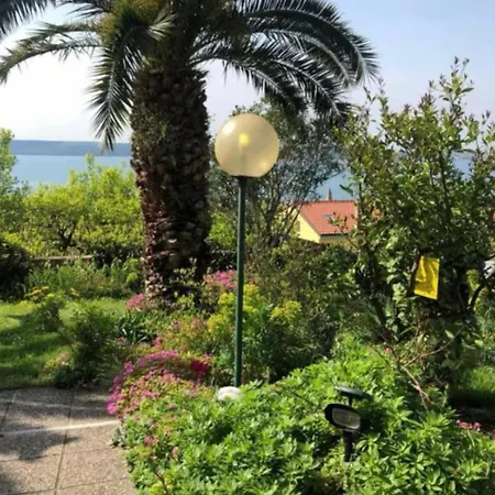 Murko * Portorož